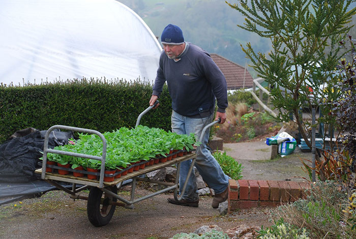 Gardener-at-work