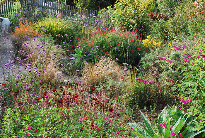 Garden-in-september