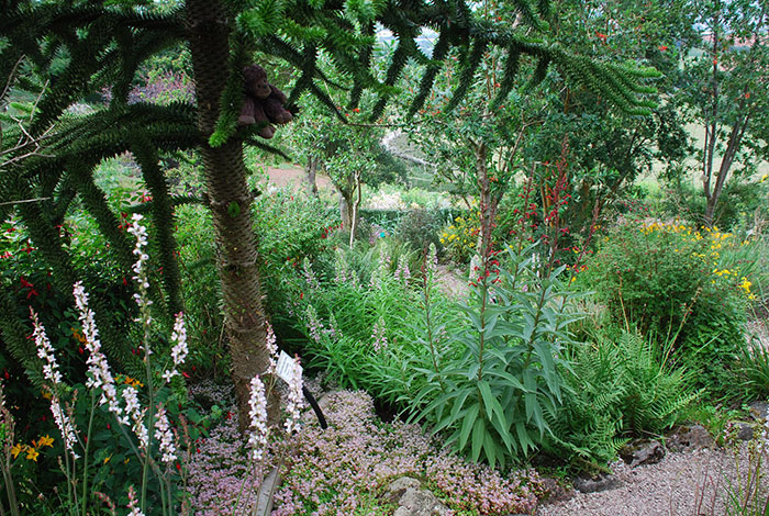 Garden-chilean