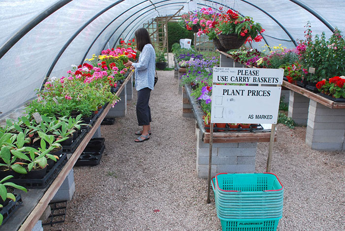 Sales-polytunnel