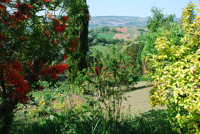 Cottage-garden9